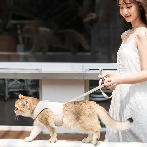 Cat Chest Back Harness Leash Adjustable Length Pet Traction Cat Dog Traction Rope Collar Cat Harness Belt - Memoriex 