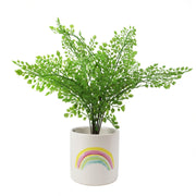 Ceramic Rainbow Ceramic Planter - Memoriex 