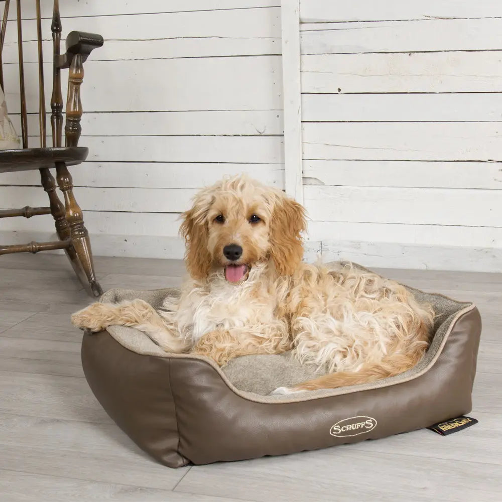 Chateau Memory Foam Orthopaedic Box Dog Bed (Dove, Latte) by Scruffs - Memoriex