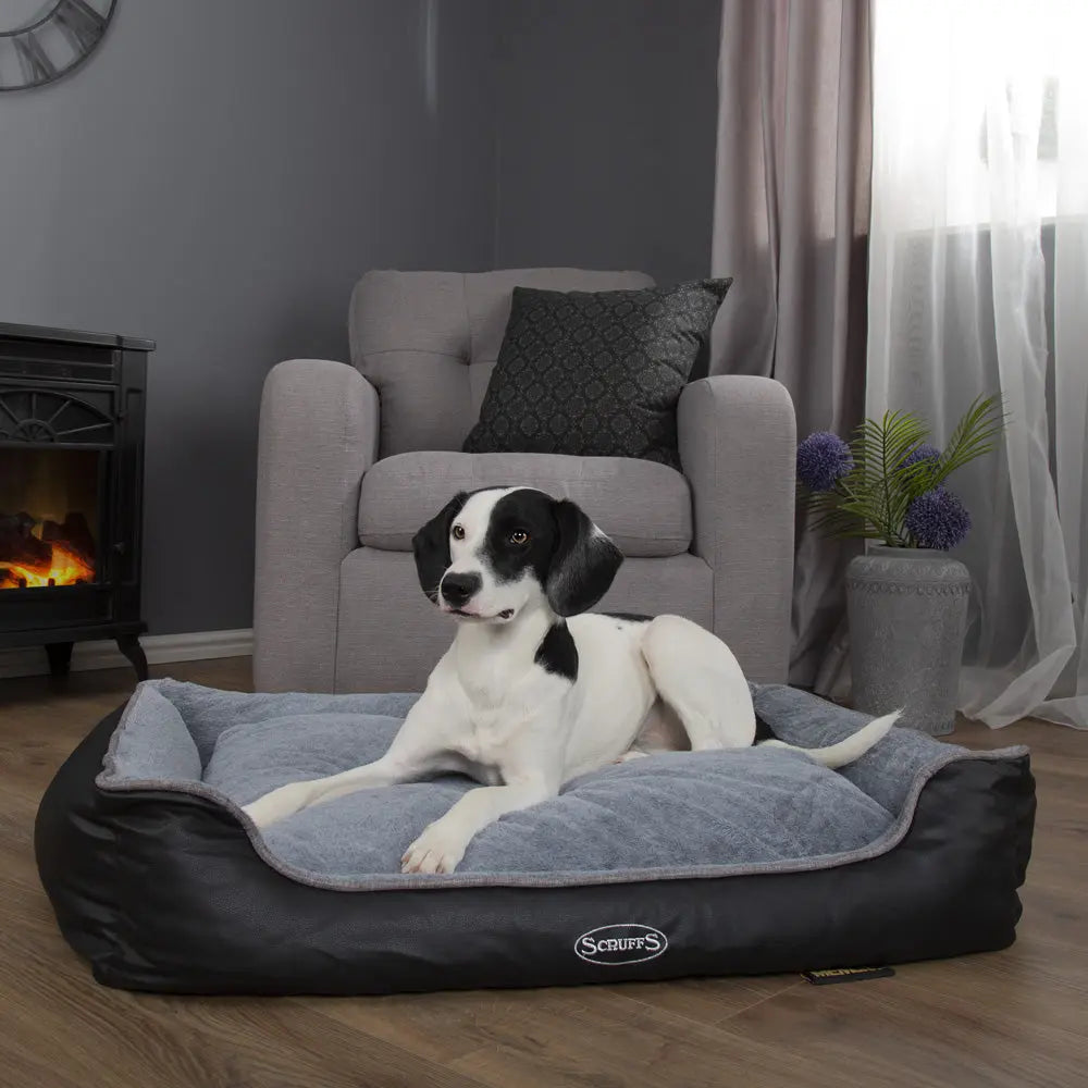 Chateau Memory Foam Orthopaedic Box Dog Bed (Dove, Latte) by Scruffs - Memoriex