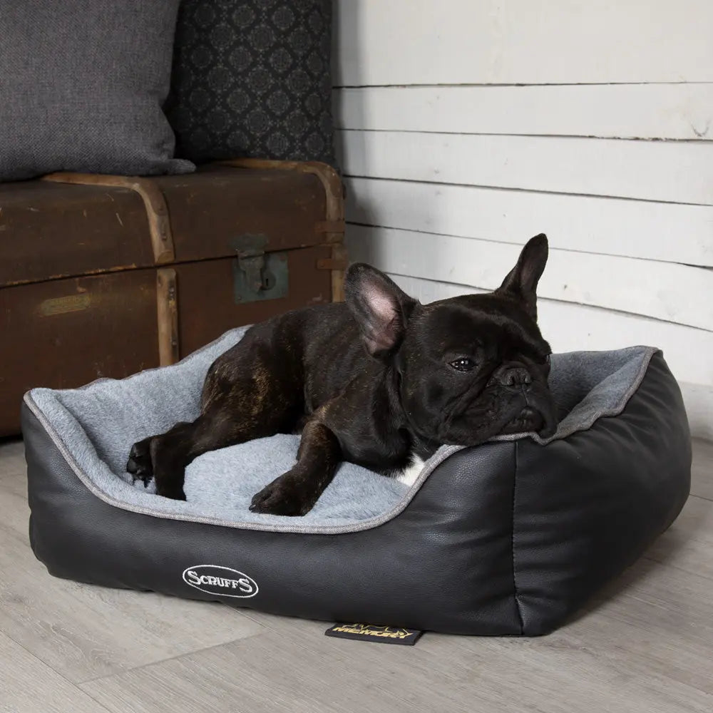 Chateau Memory Foam Orthopaedic Box Dog Bed (Dove, Latte) by Scruffs - Memoriex