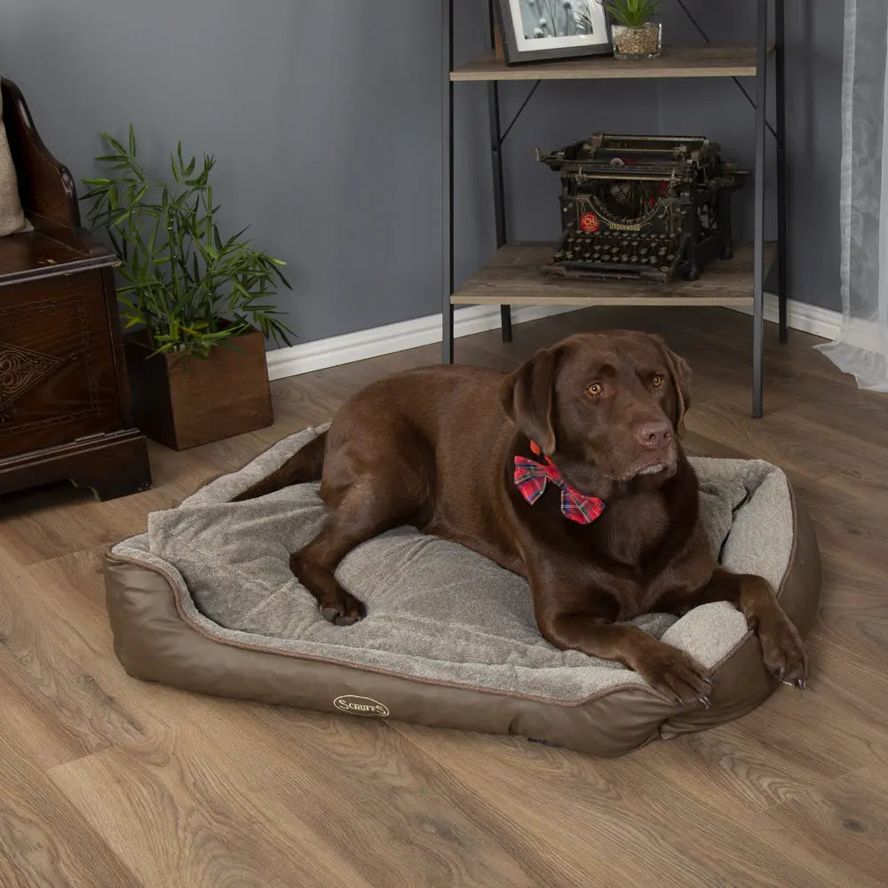 Chateau Memory Foam Orthopaedic Box Dog Bed (Dove, Latte) by Scruffs - Memoriex