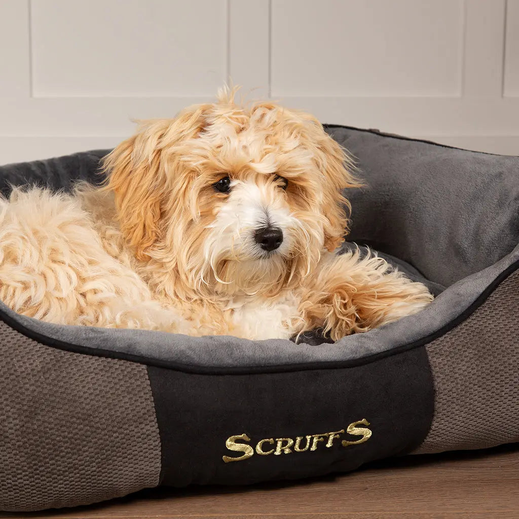 Chester Box Dog Bed (in Chocolate Brown, Dark Grey or Graphite Grey) by Scruffs - Memoriex