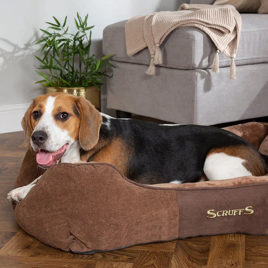 Chester Box Dog Bed (in Chocolate Brown, Dark Grey or Graphite Grey) by Scruffs - Memoriex