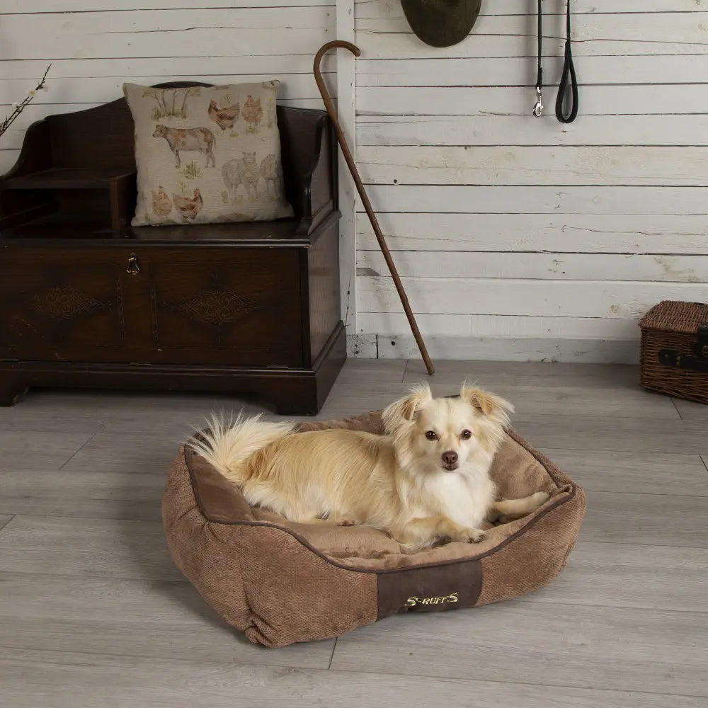 Chester Box Dog Bed (in Chocolate Brown, Dark Grey or Graphite Grey) by Scruffs - Memoriex