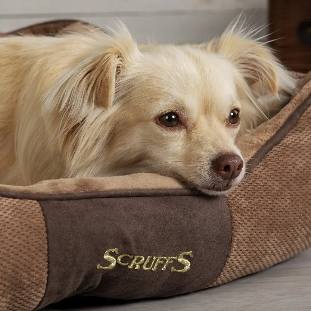 Chester Box Dog Bed (in Chocolate Brown, Dark Grey or Graphite Grey) by Scruffs - Memoriex