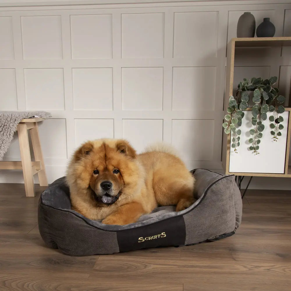 Chester Box Dog Bed (in Chocolate Brown, Dark Grey or Graphite Grey) by Scruffs - Memoriex