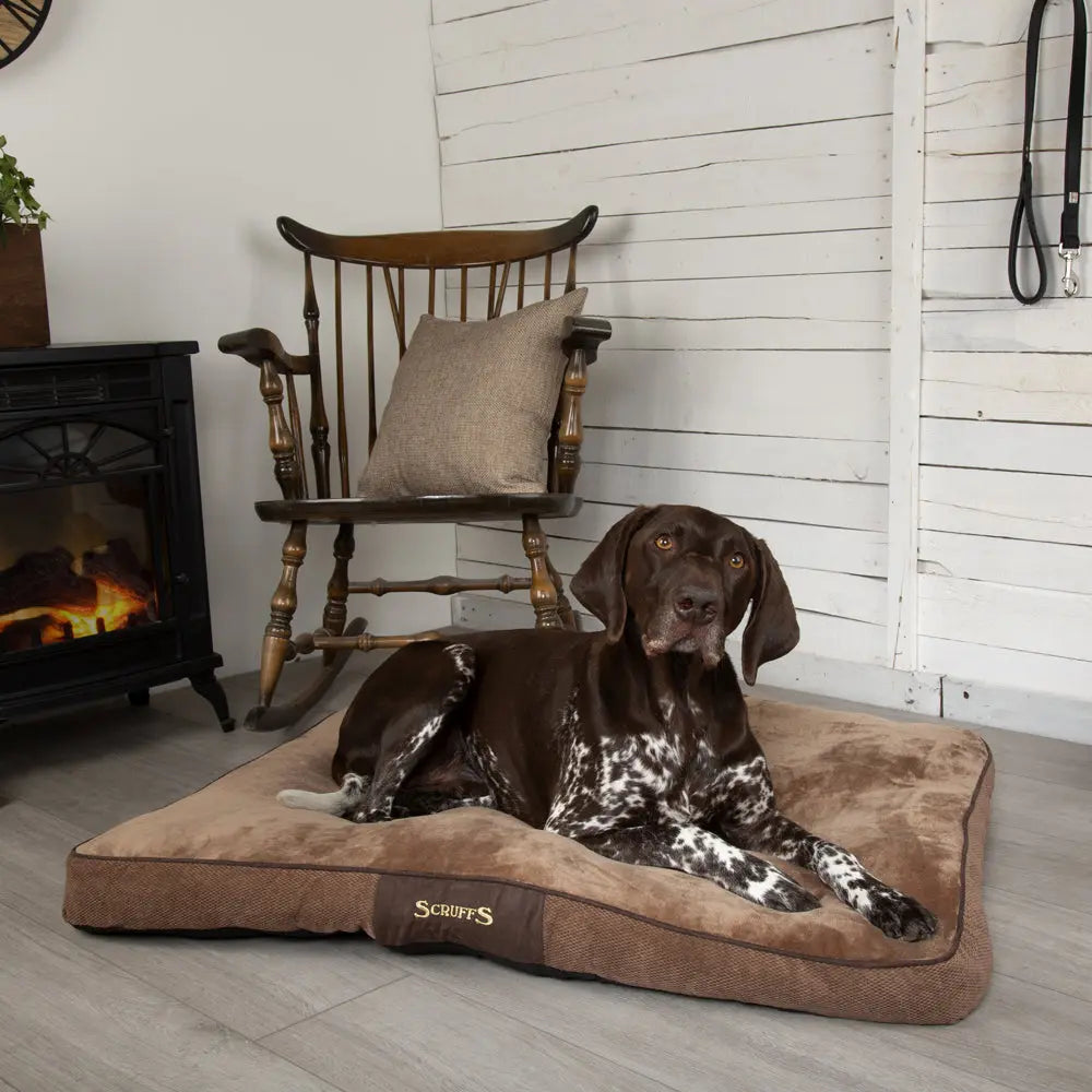 Chester Dog Mattress (in Chocolate Brown or Graphite Grey) by Scruffs - Memoriex