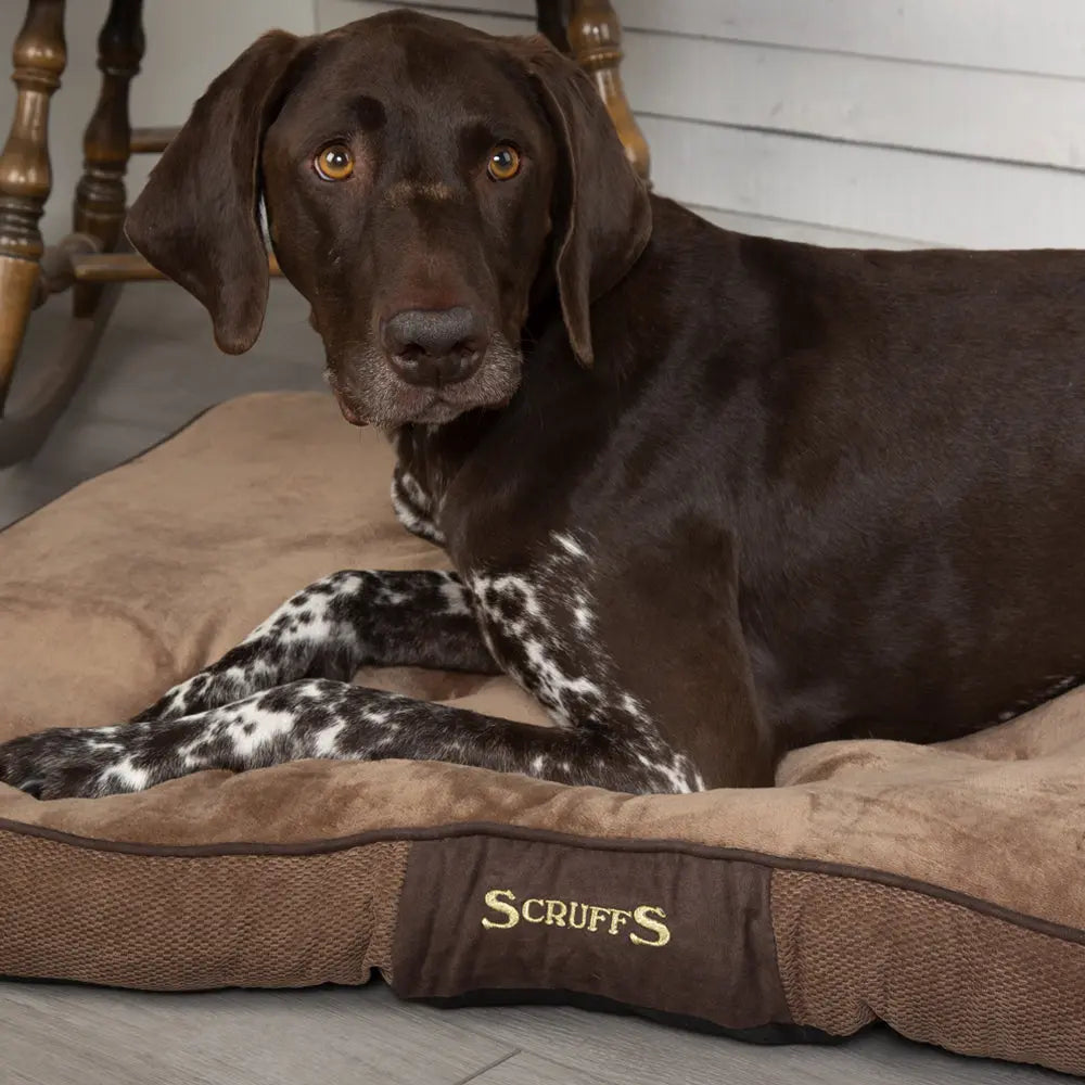 Chester Dog Mattress (in Chocolate Brown or Graphite Grey) by Scruffs - Memoriex