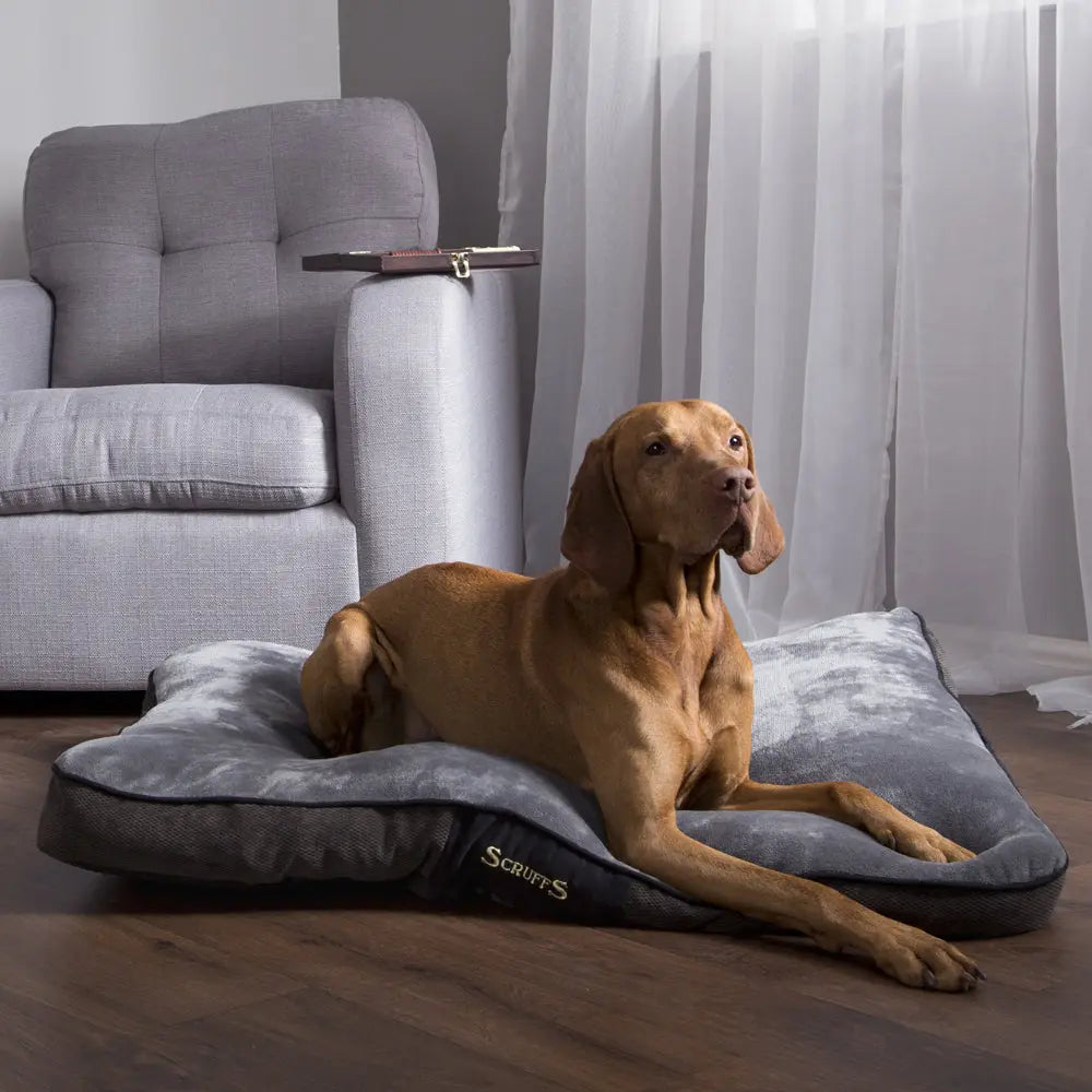 Chester Dog Mattress (in Chocolate Brown or Graphite Grey) by Scruffs - Memoriex