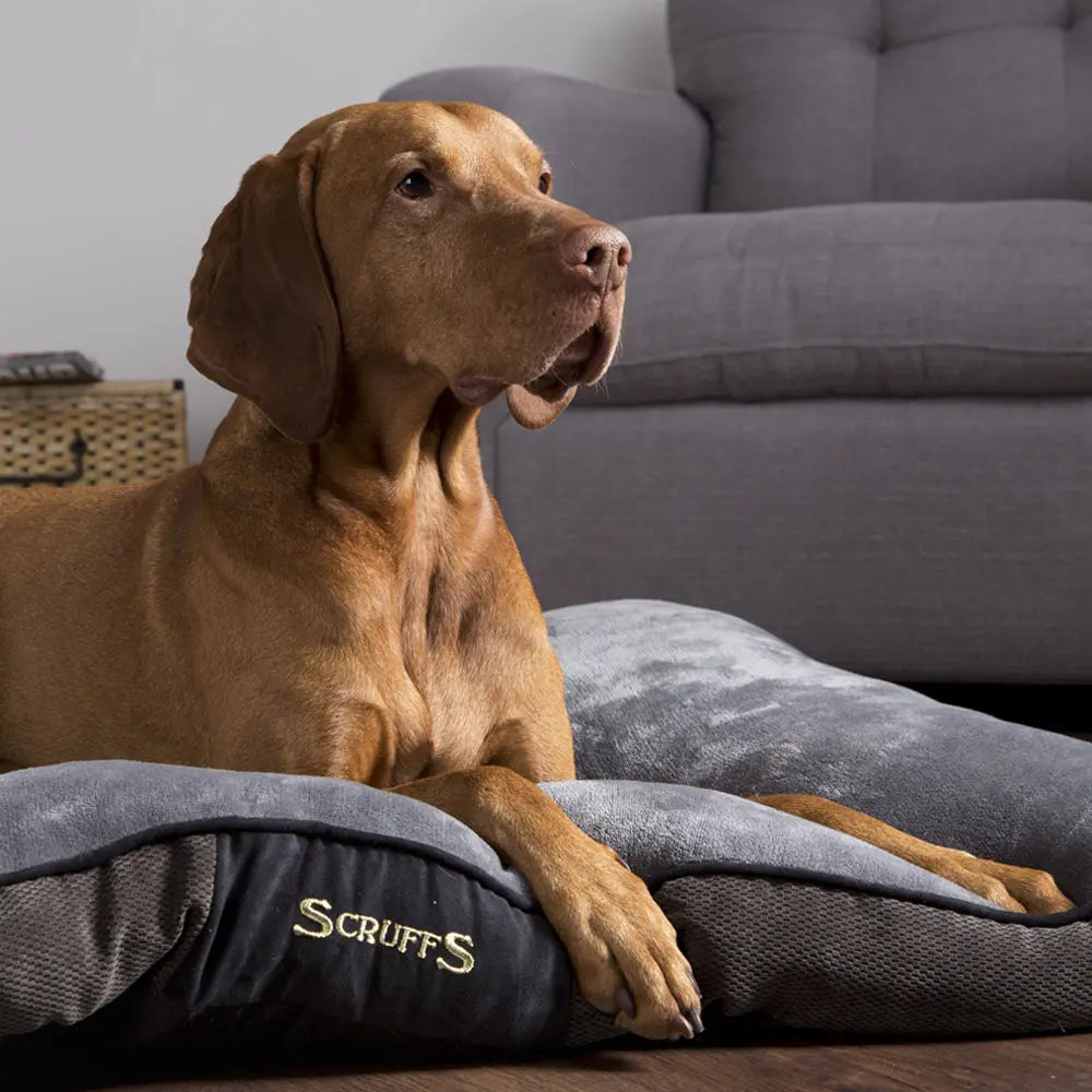 Chester Dog Mattress (in Chocolate Brown or Graphite Grey) by Scruffs - Memoriex