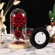 Christmas Valentine's Day Birthday Gift Two Roses Glass Cover Ornament LED Light Simulation Immortal Flower - Memoriex 