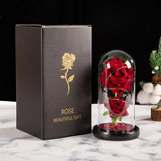 Christmas Valentine's Day Birthday Gift Two Roses Glass Cover Ornament LED Light Simulation Immortal Flower - Memoriex 