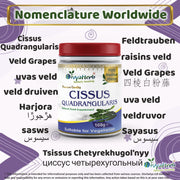 Cissus Quadrangularis Powder - Memoriex 