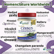 Cissus Quadrangularis Powder - Memoriex 