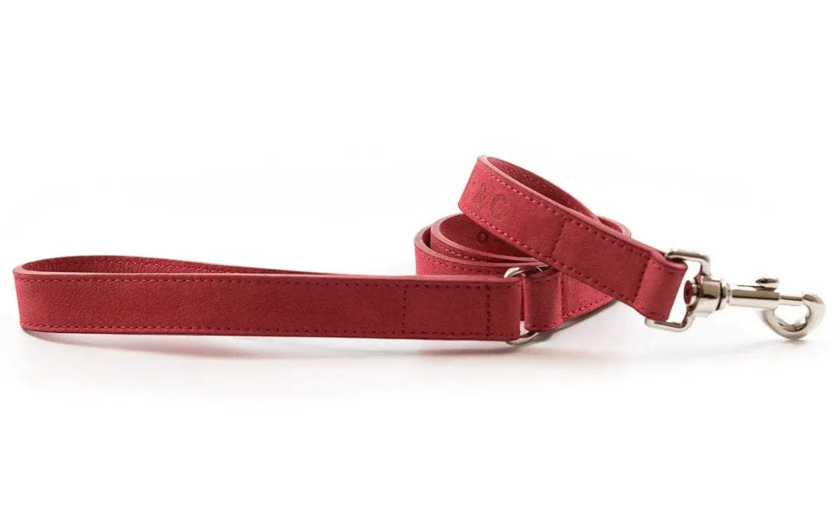 “Como” Nubuck Dog Lead – by Ralph & Co - Memoriex