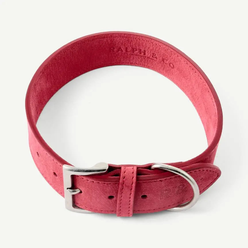 “Como” Nubuck Leather Dog Collar – by Ralph & Co - Memoriex