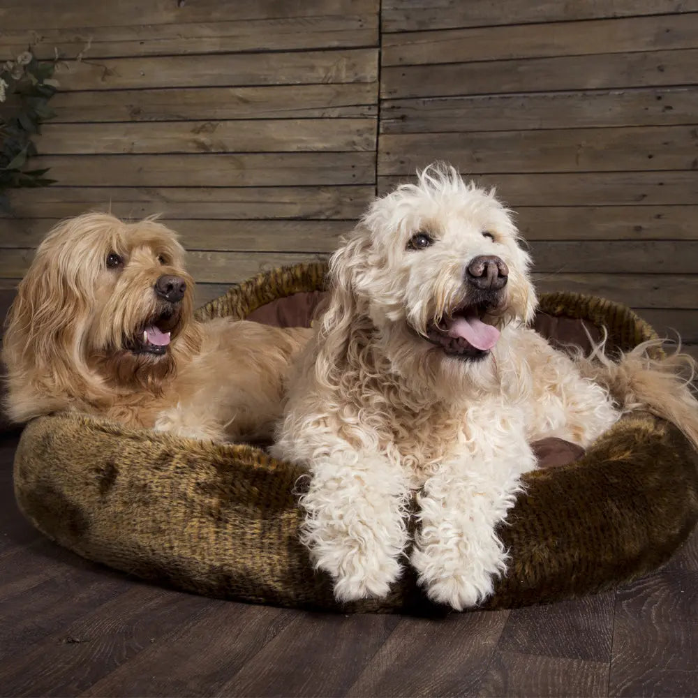 Cub Bear Dog Bed (in Beige or Brown) by Scruffs - Memoriex