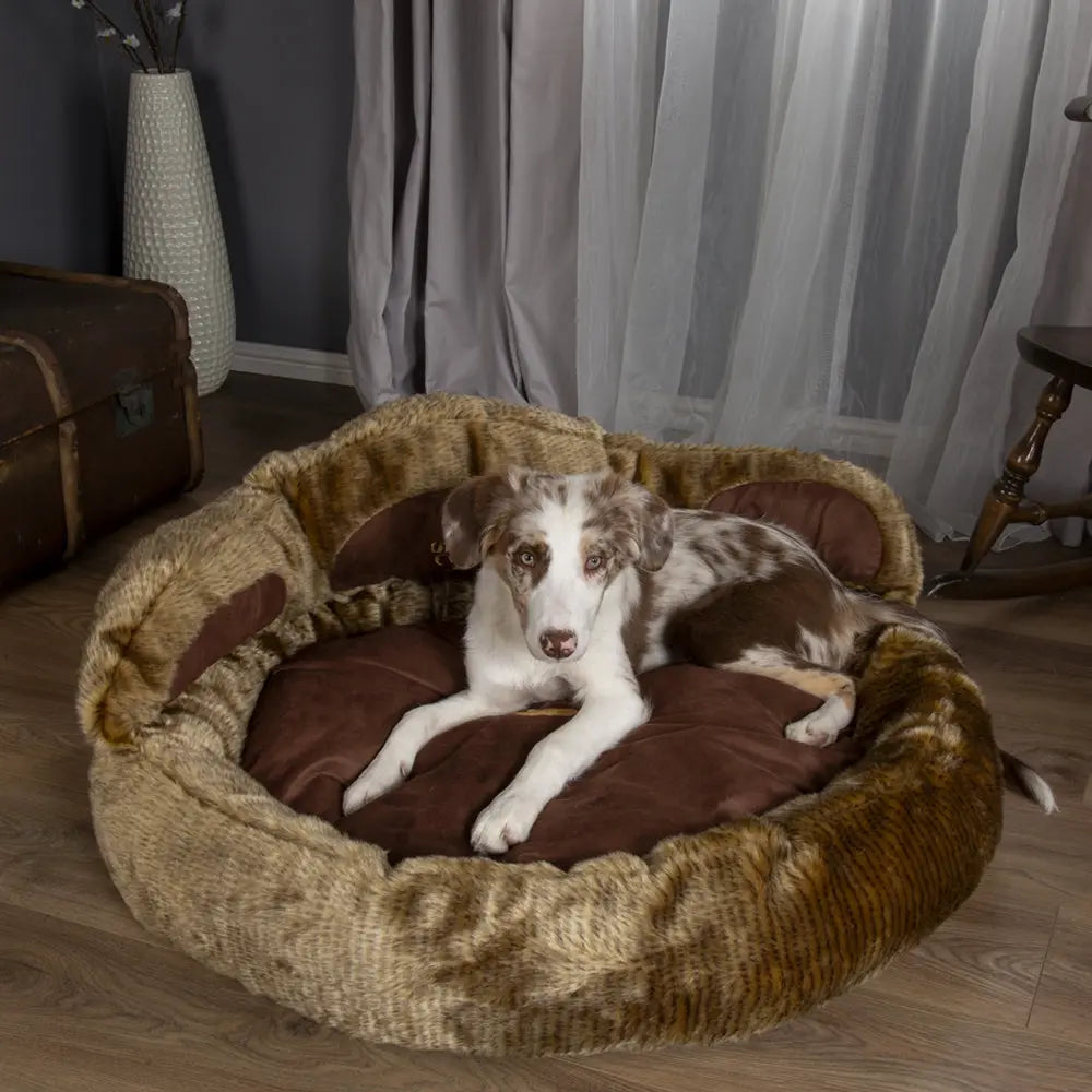 Cub Bear Dog Bed (in Beige or Brown) by Scruffs - Memoriex