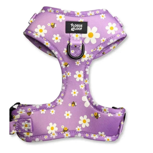 "Cute As Can Be 2.0" Adjustable Dog Harness – by Flossie & Floof - Memoriex