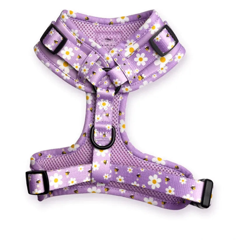 "Cute As Can Be 2.0" Adjustable Dog Harness – by Flossie & Floof - Memoriex