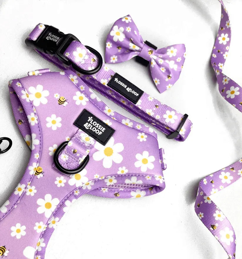 "Cute As Can Be 2.0" Adjustable Dog Harness – by Flossie & Floof - Memoriex