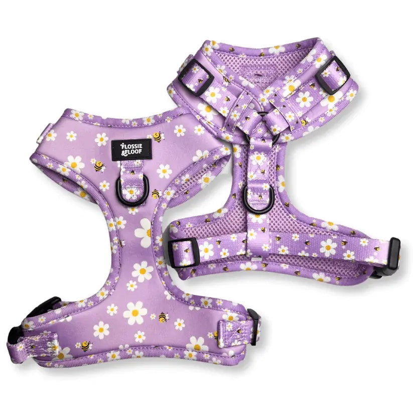 "Cute As Can Be 2.0" Adjustable Dog Harness – by Flossie & Floof - Memoriex