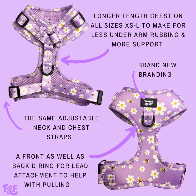 "Cute As Can Be 2.0" Adjustable Dog Harness – by Flossie & Floof - Memoriex