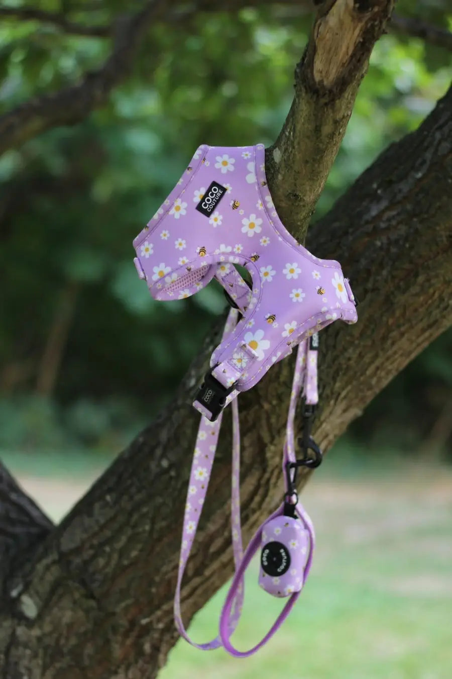 "Cute As Can Be" Adjustable Dog Harness – by Coco Couture - Memoriex