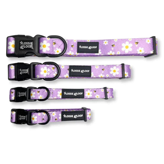 "Cute As Can Bee 2.0" Adjustable Dog Collar – by Flossie & Floof - Memoriex