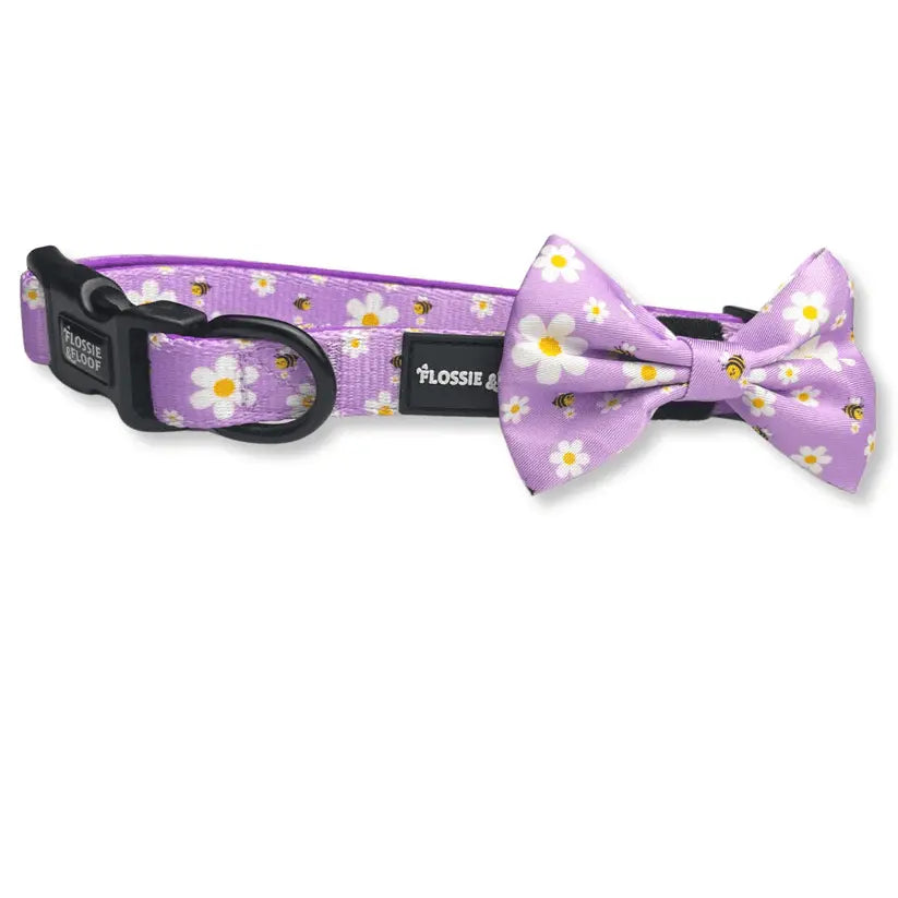 "Cute As Can Bee 2.0" Adjustable Dog Collar – by Flossie & Floof - Memoriex