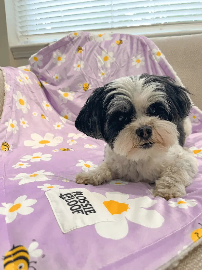 "Cute As Can Bee 2.0" Dog Blanket – by Flossie & Floof - Memoriex