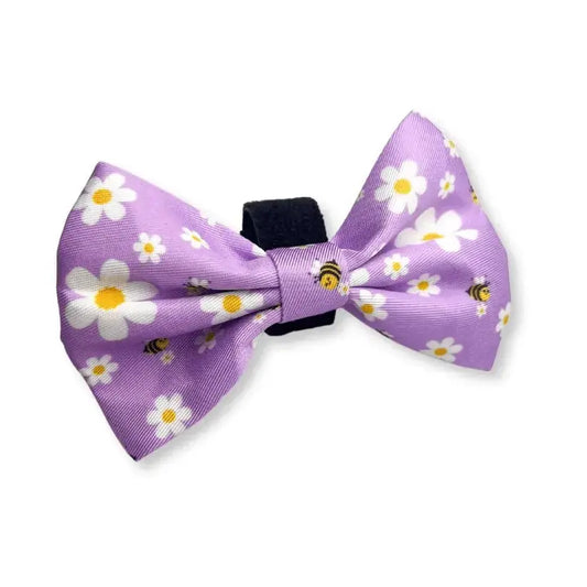 "Cute As Can Bee 2.0" Dog Bow Tie – by Flossie & Floof - Memoriex