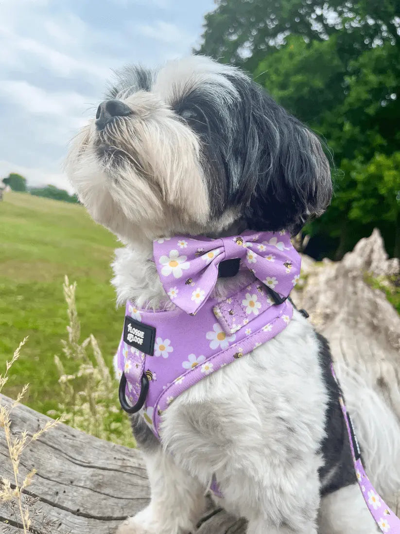 "Cute As Can Bee 2.0" Dog Bow Tie – by Flossie & Floof - Memoriex