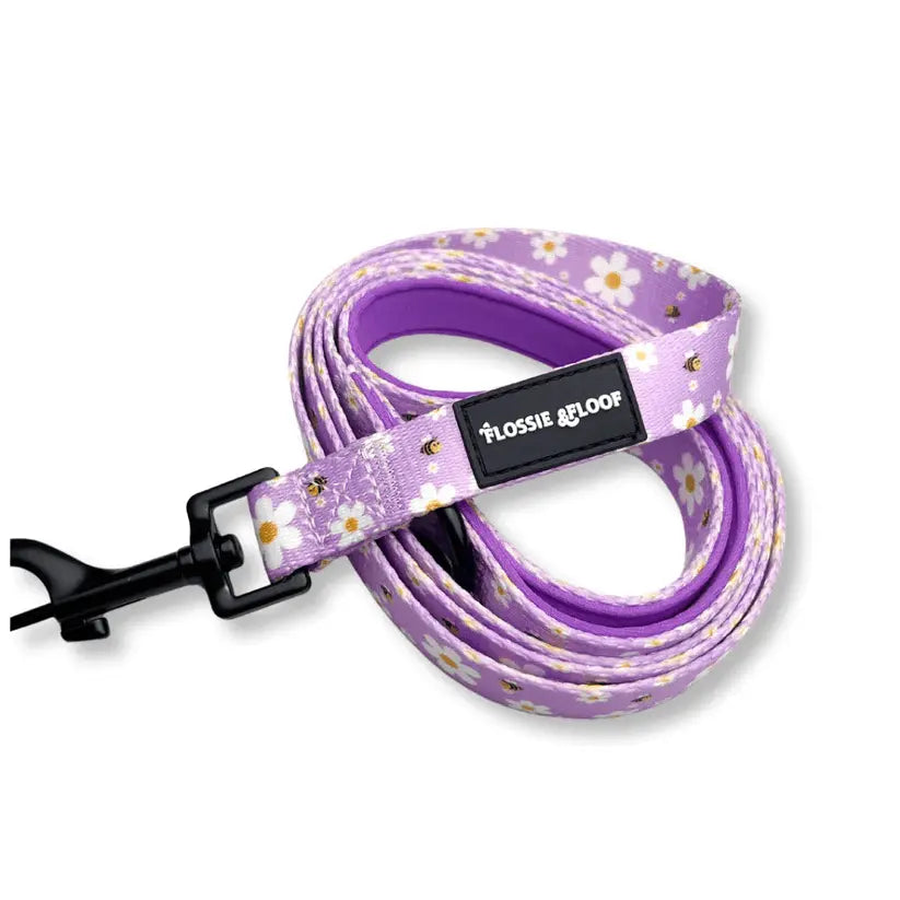 "Cute As Can Bee 2.0" Dog Lead – by Flossie & Floof - Memoriex