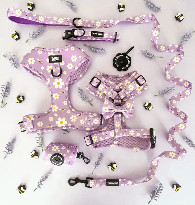 "Cute As Can Bee 2.0" Dog Lead – by Flossie & Floof - Memoriex