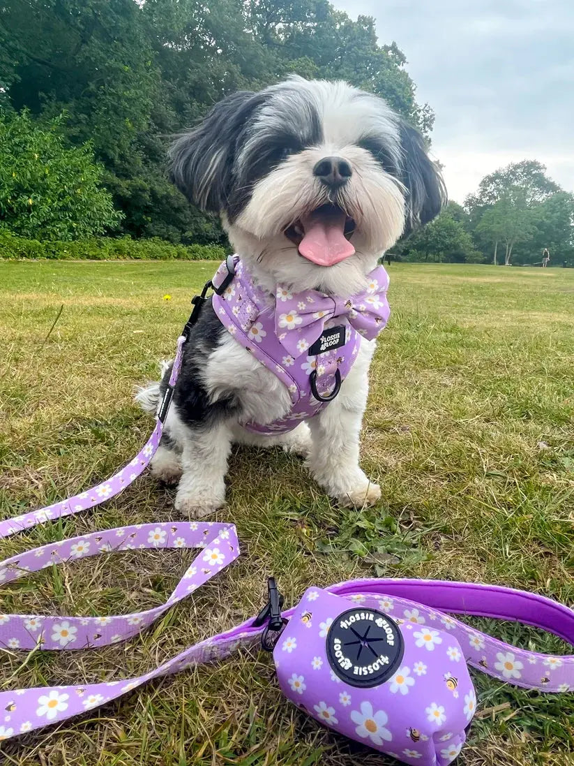 "Cute As Can Bee 2.0" Dog Poop Bag Holder – by Flossie & Floof - Memoriex