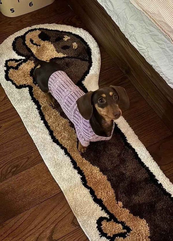 Cute Whimsical Ultra Soft Dachshunt Runner Rug - Memoriex 