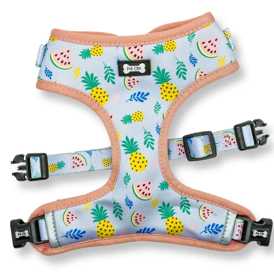 Cutie Fruity Adjustable Dog Harness by Pup Chic Boutique - Memoriex