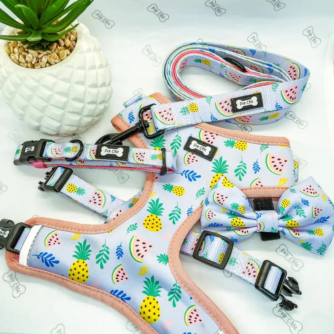 Cutie Fruity Adjustable Dog Harness by Pup Chic Boutique - Memoriex