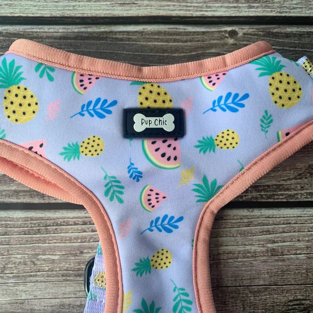 Cutie Fruity Adjustable Dog Harness by Pup Chic Boutique - Memoriex