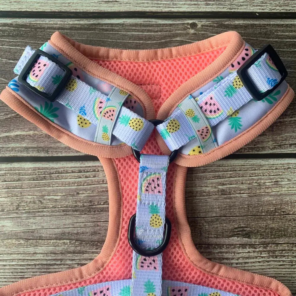 Cutie Fruity Adjustable Dog Harness by Pup Chic Boutique - Memoriex