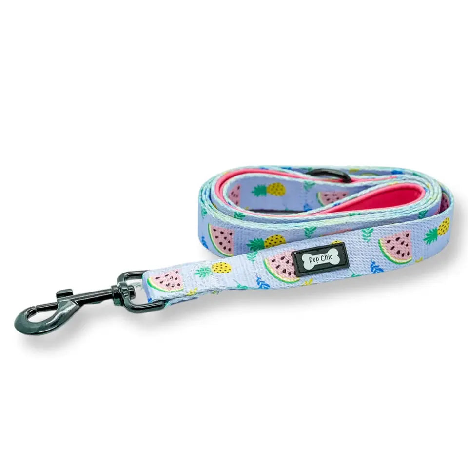 Cutie Fruity Dog Lead by Pup Chic Boutique - Memoriex