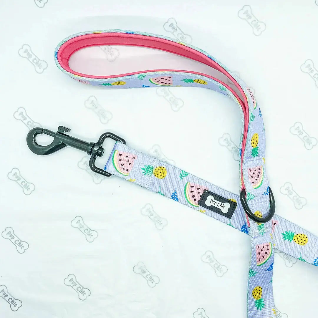 Cutie Fruity Dog Lead by Pup Chic Boutique - Memoriex