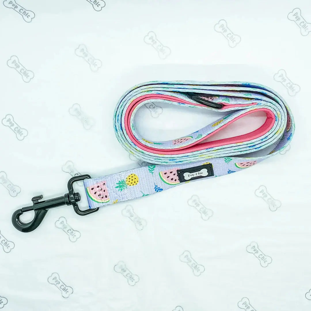 Cutie Fruity Dog Lead by Pup Chic Boutique - Memoriex