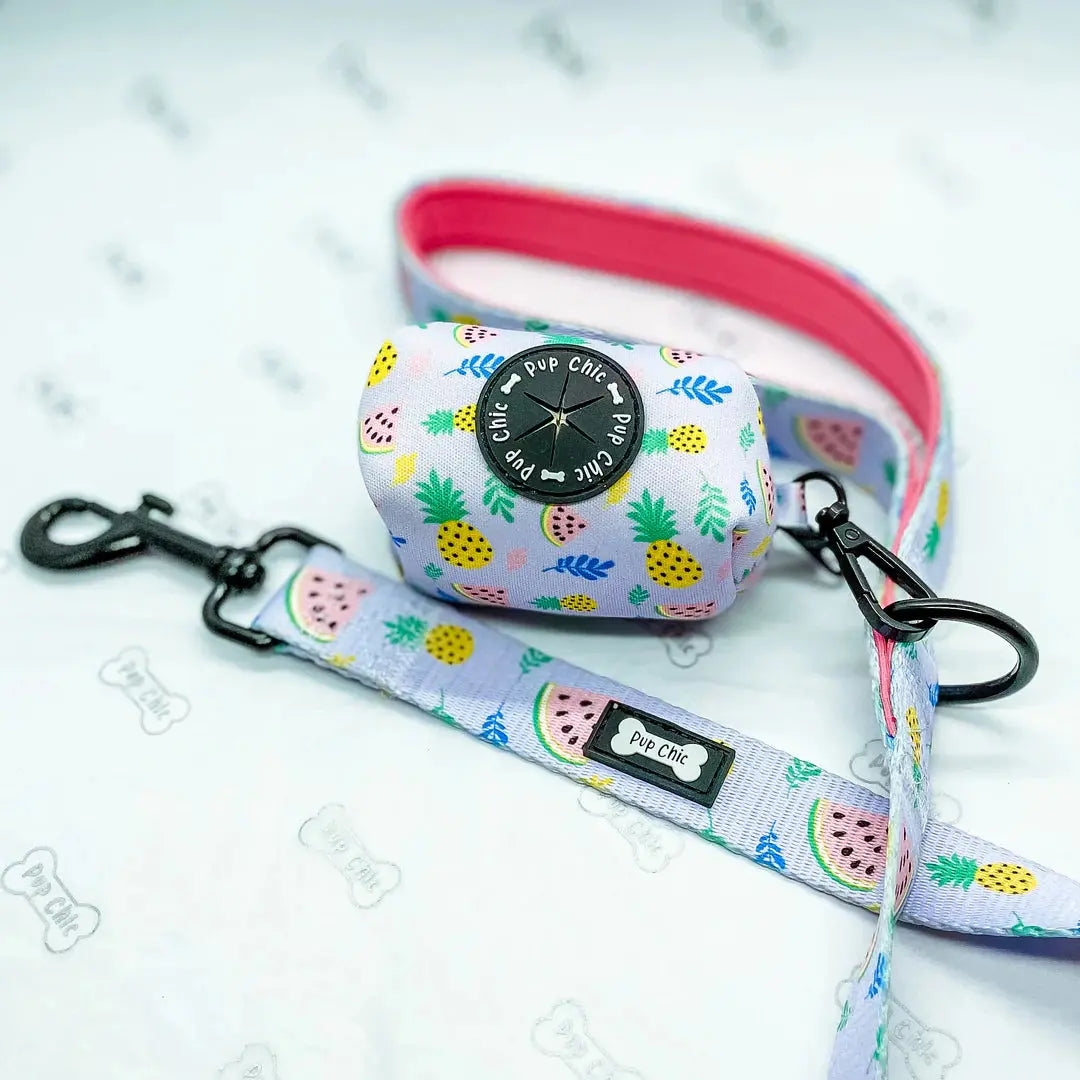 Cutie Fruity Dog Lead by Pup Chic Boutique - Memoriex