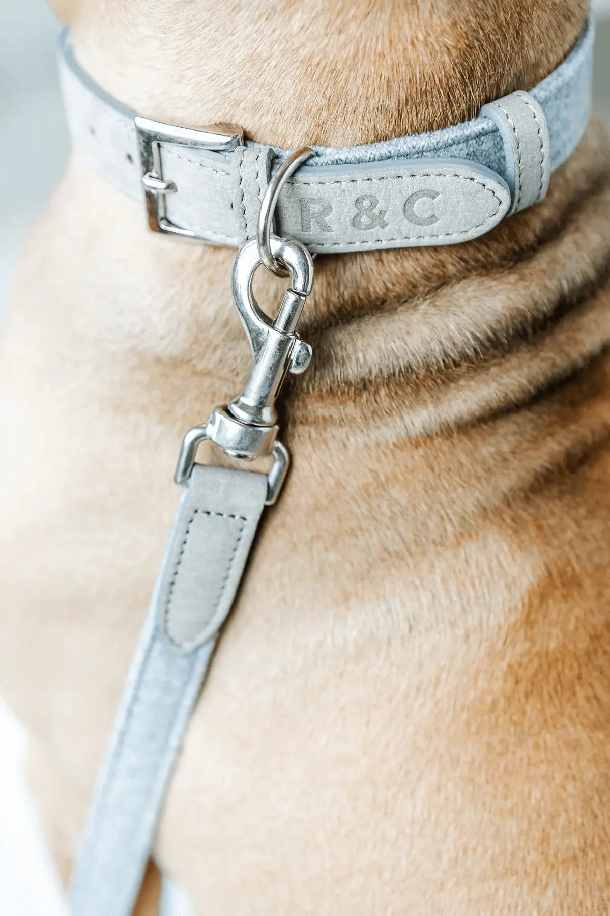 “Dalton” Fabric & Leather Dog Lead – by Ralph & Co - Memoriex