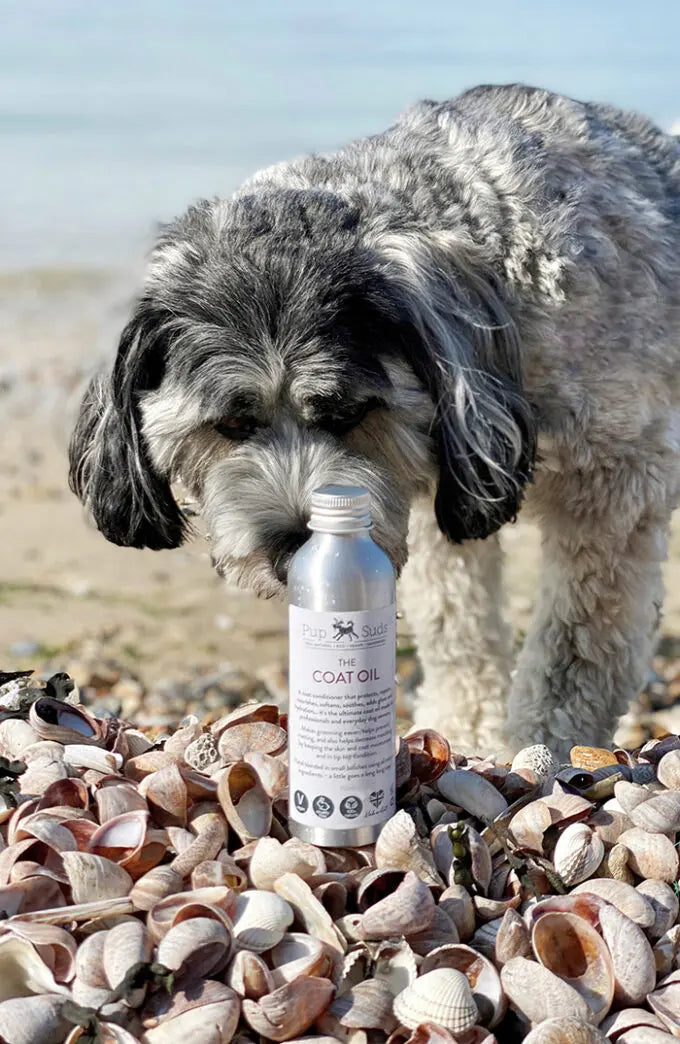 Dog Coat Oil - "The Ultimate Conditioner" For Dog Coats - by Pup Suds - Memoriex