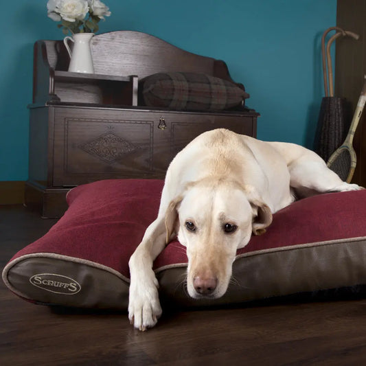 Hilton Memory Foam Orthopaedic Dog Bed / Dog Mattress (Burgundy, Brown, Grey) by Scruffs - Memoriex