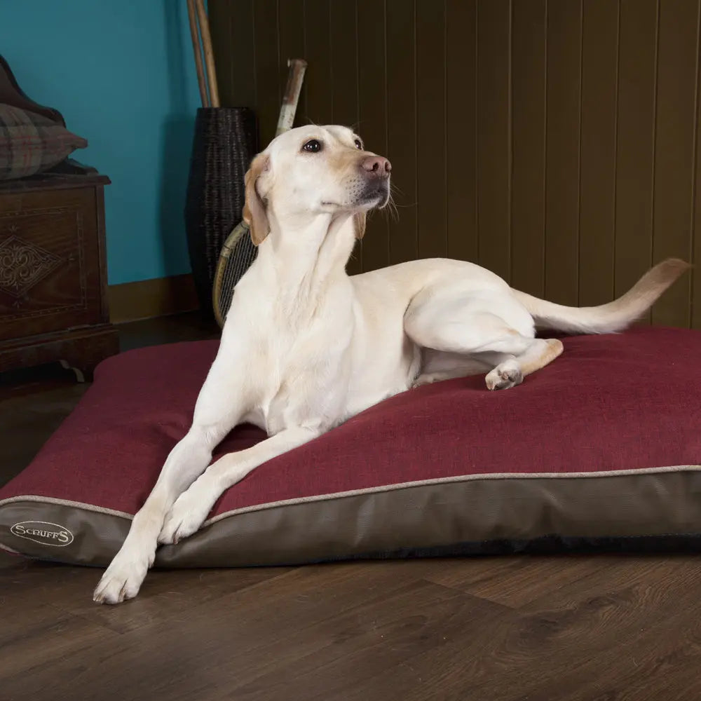 Hilton Memory Foam Orthopaedic Dog Bed / Dog Mattress (Burgundy, Brown, Grey) by Scruffs - Memoriex